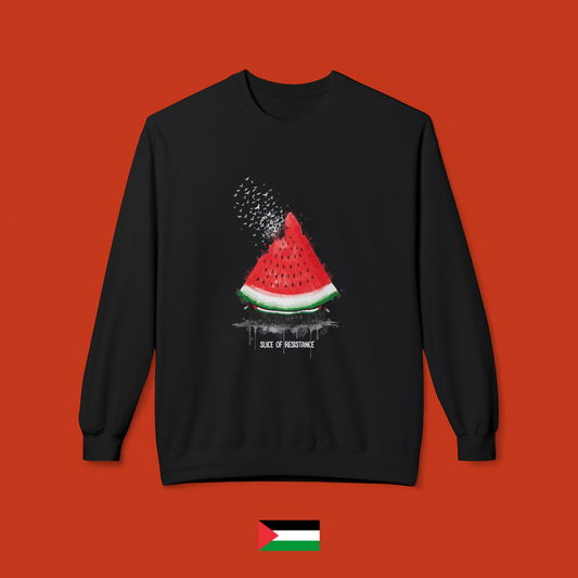 Slice of resistance - felpa girocollo