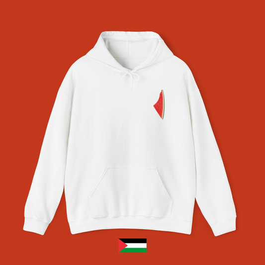 Melon Slice - Hoodie