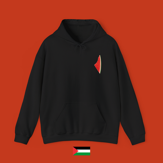 Melon Slice - Hoodie