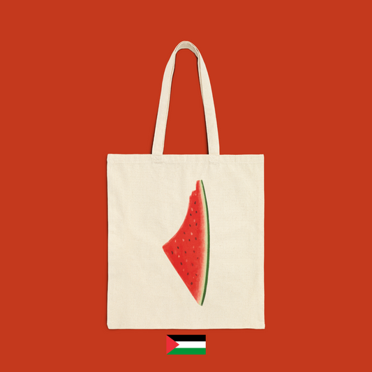 Melon slice - bag