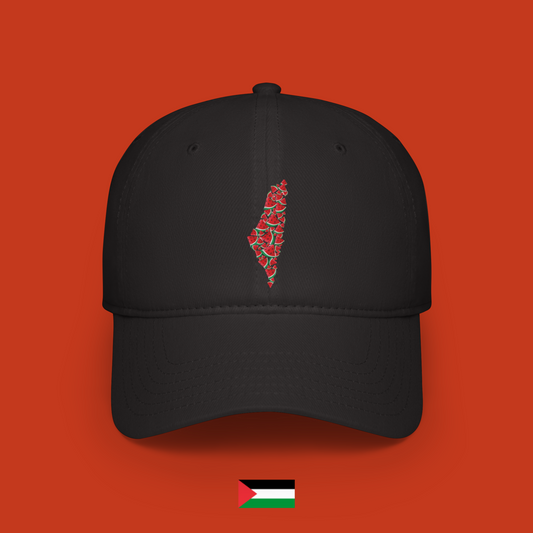 Palestine made of watermelon slices - hat