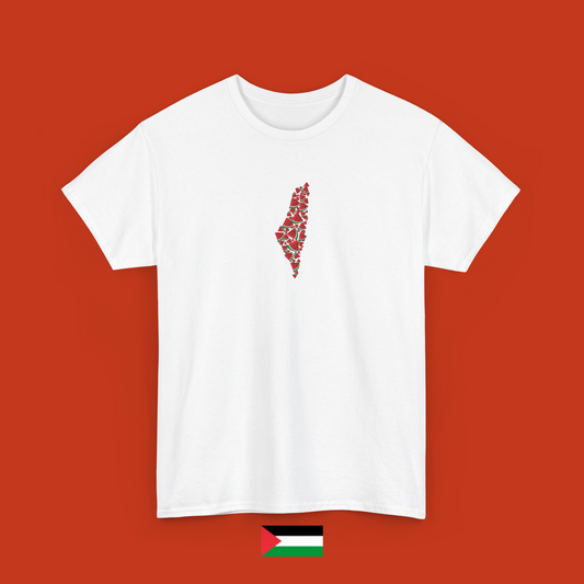 Palestine made of watermelon slices - T-shirt