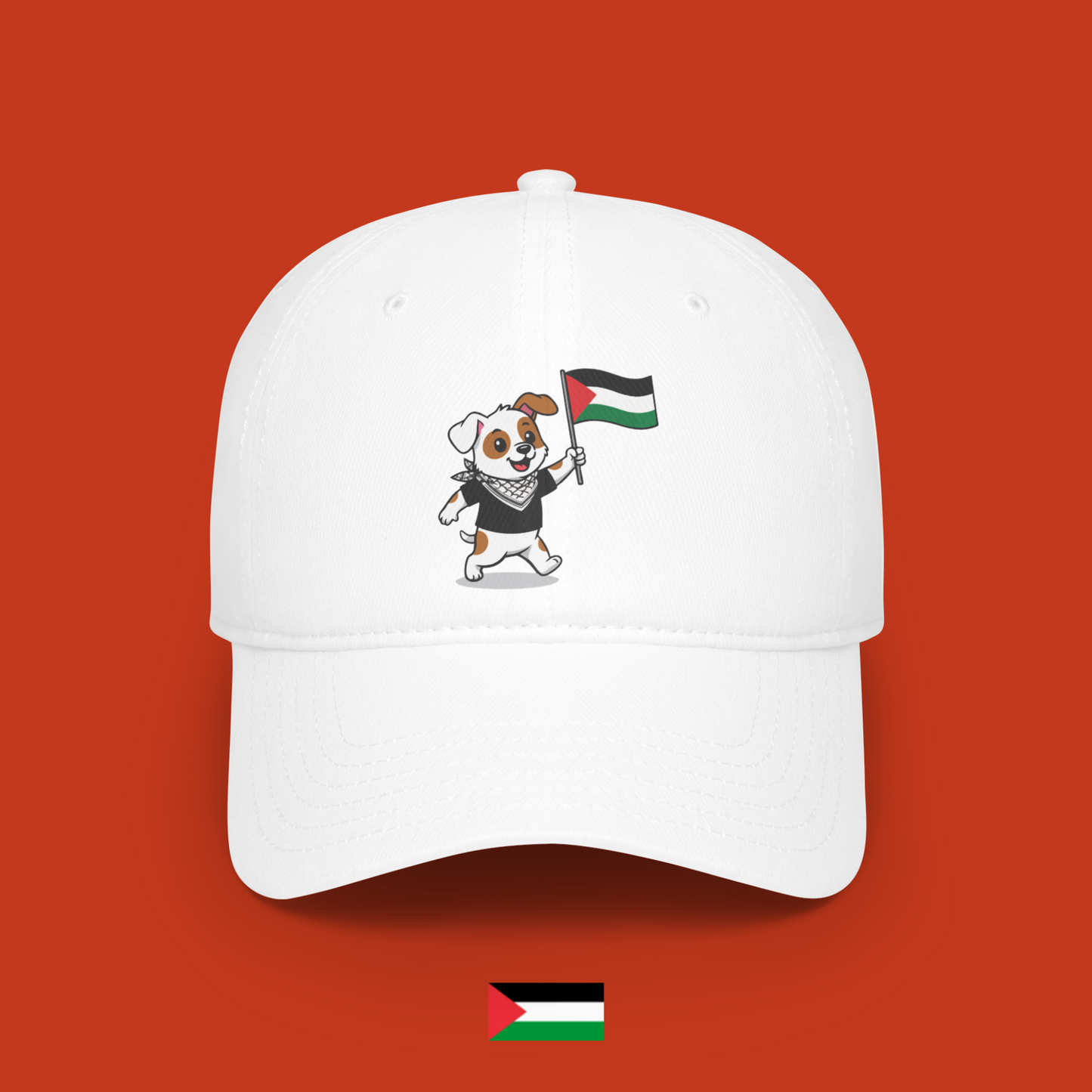 Sami with flag - cap