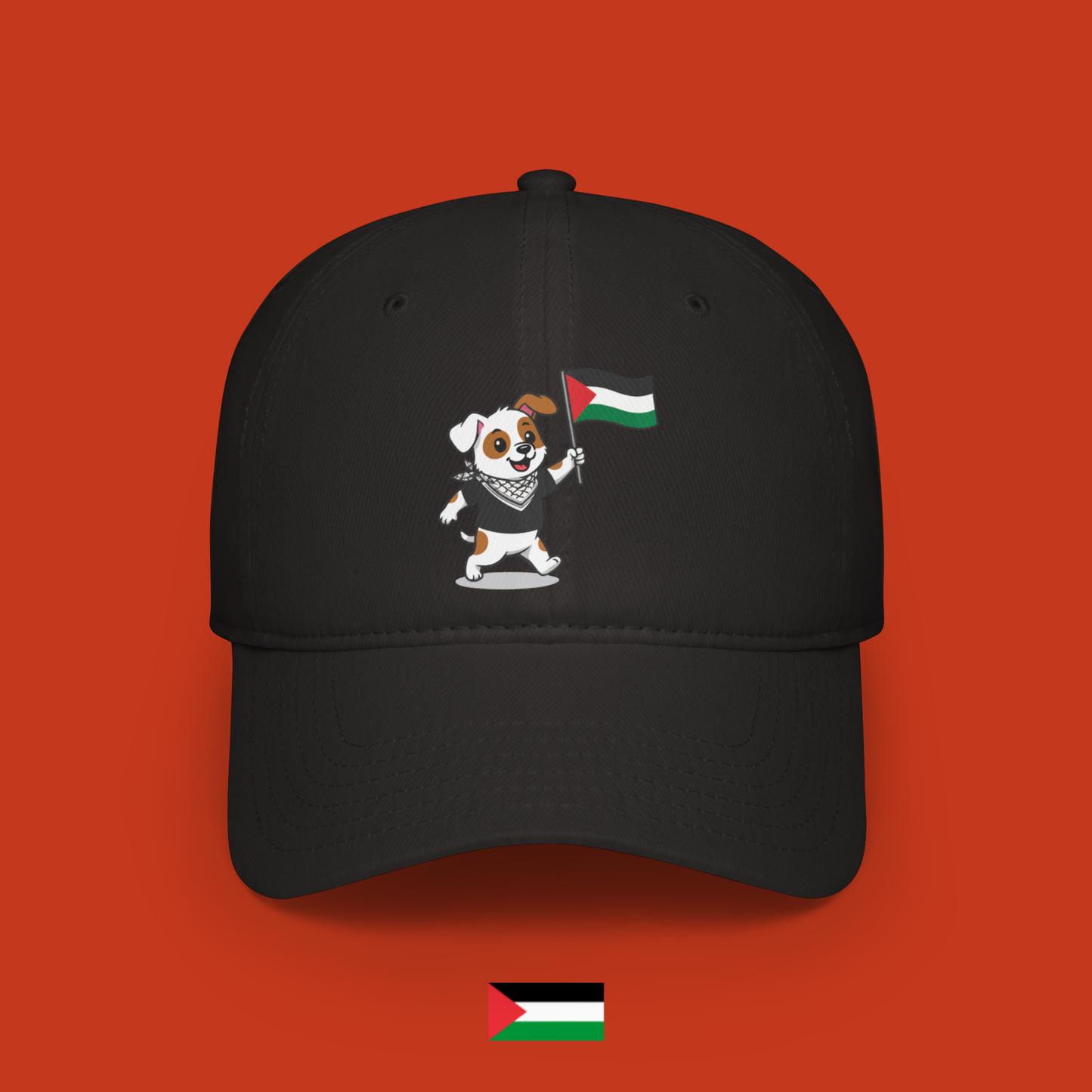 Sami with flag - cap