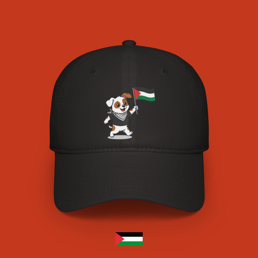 Sami with flag - cap