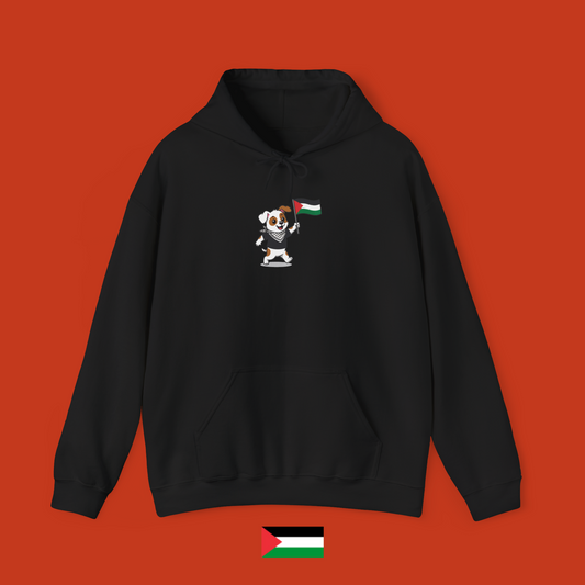 Sami with flag - hoodie