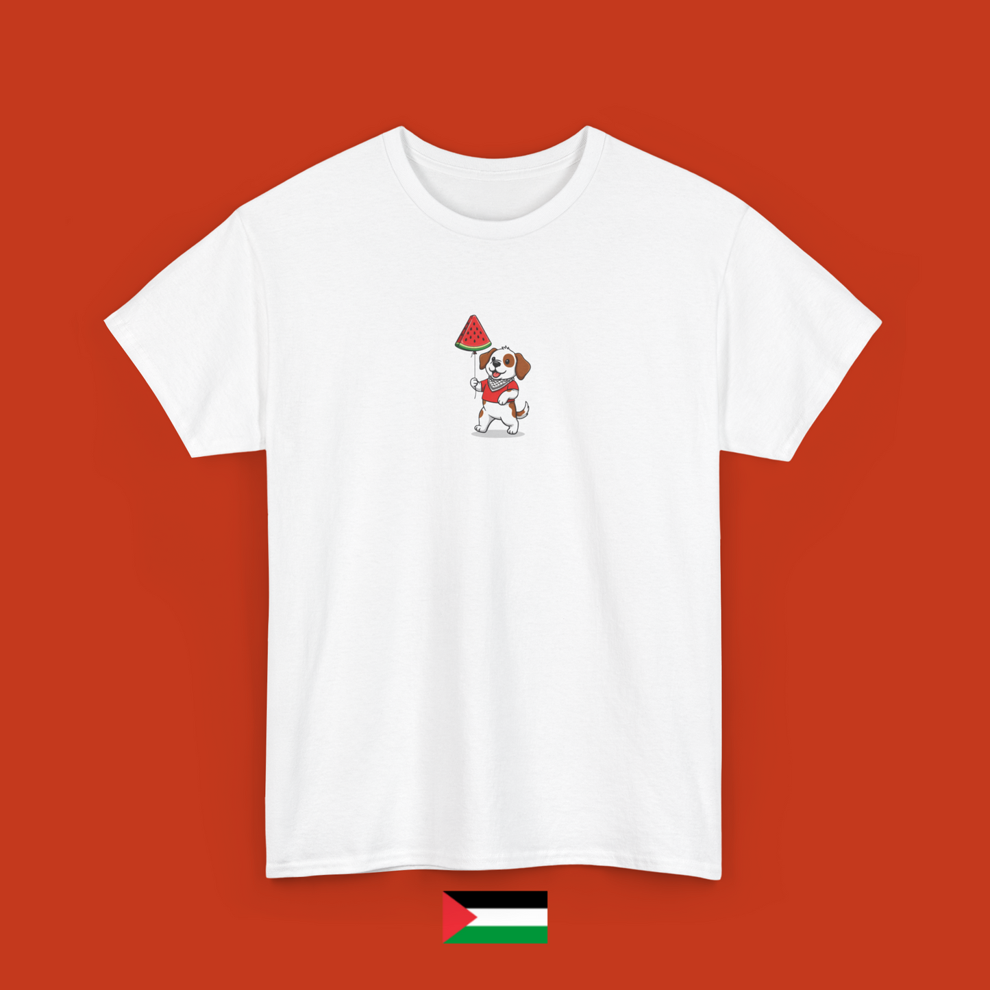 Sami with balloon - T-shirt