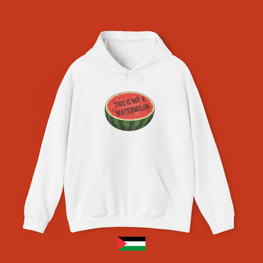 This is not a watermelon - hoodie